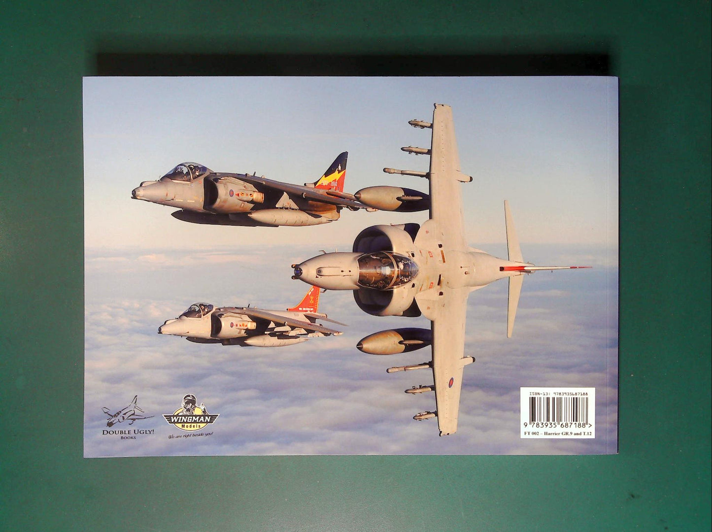 Double Ugly - Bae Systems Harrier II GR.9 and T.12