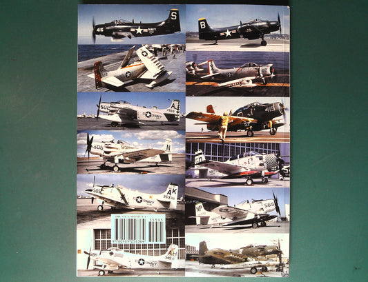 Naval Fighters - No 99. AD/A-1 Skyraider Part Two US Navy Squadrons
