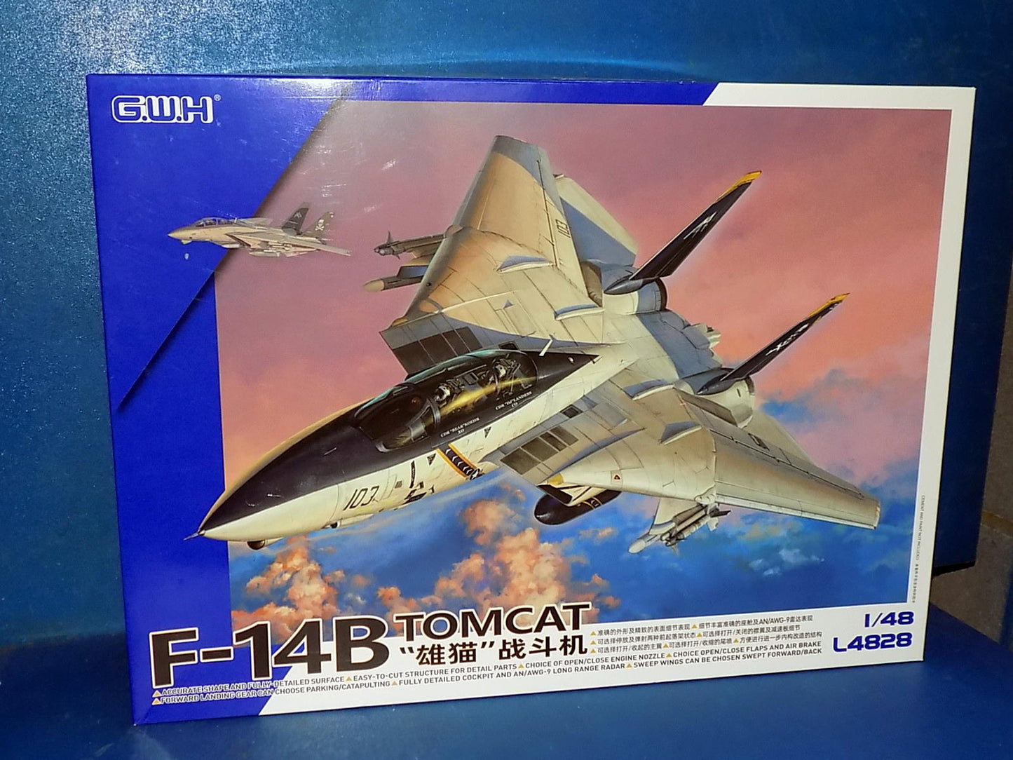 1/48 Great Wall Hobby - F-14B Tomcat