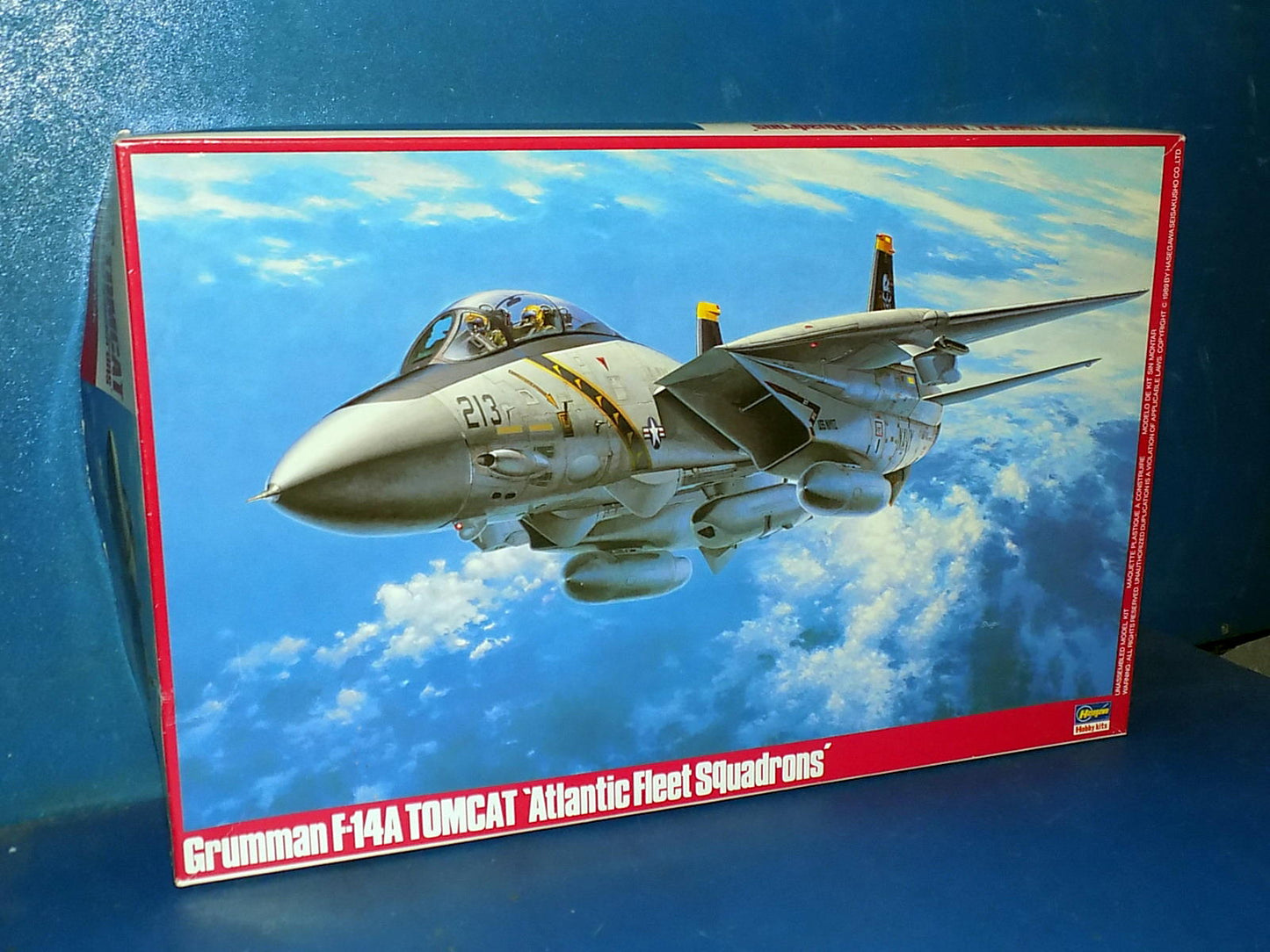 1/48 Hasegawa - F-14A Tomat Atlantic Fleet