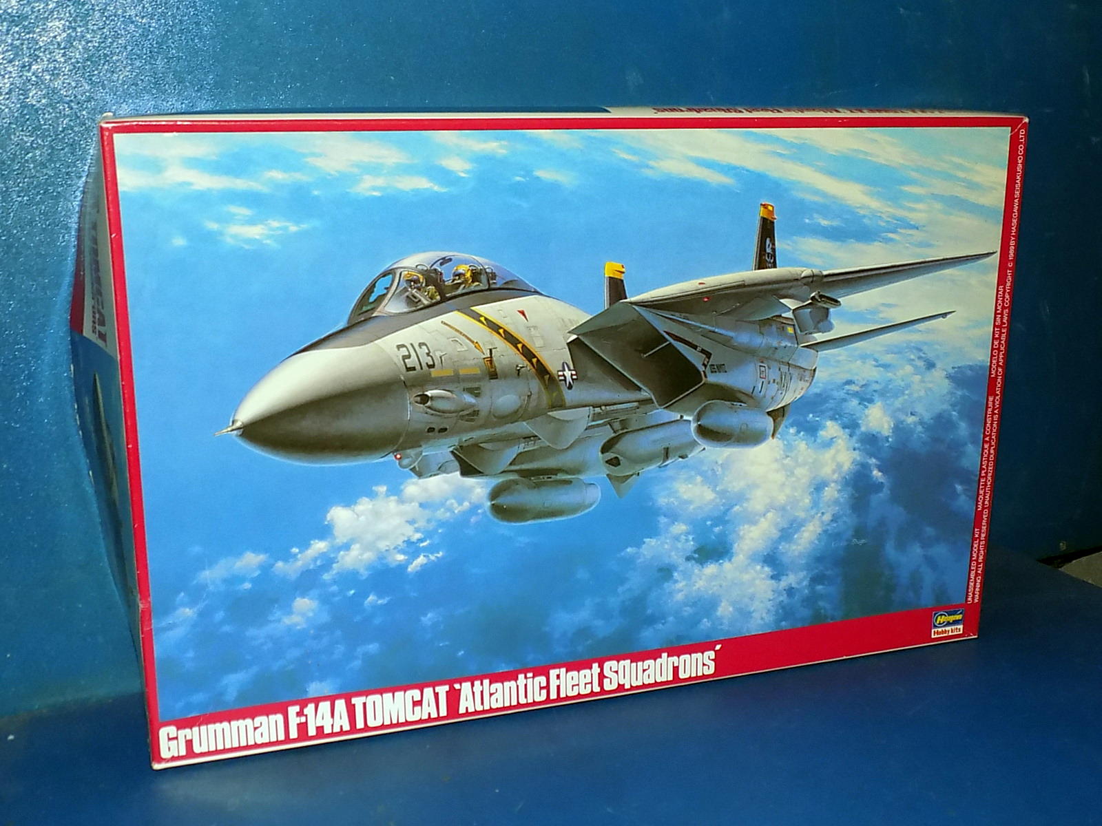 1/48 Hasegawa - F-14A Tomat Atlantic Fleet
