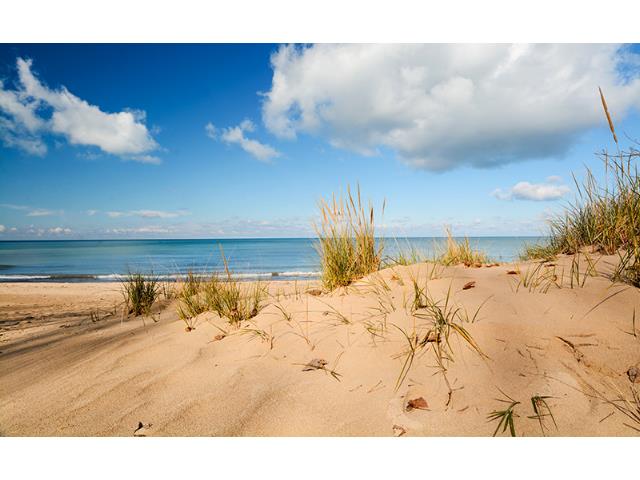 250ml AK Interactive - Terrains - Beach Sand
