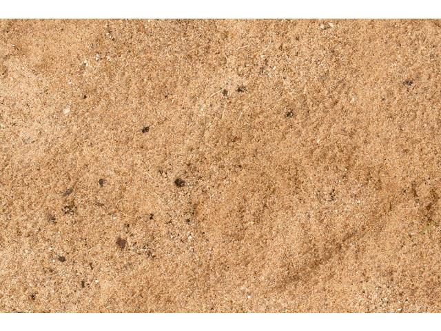 250ml AK Interactive - Terrains - Sandy Desert