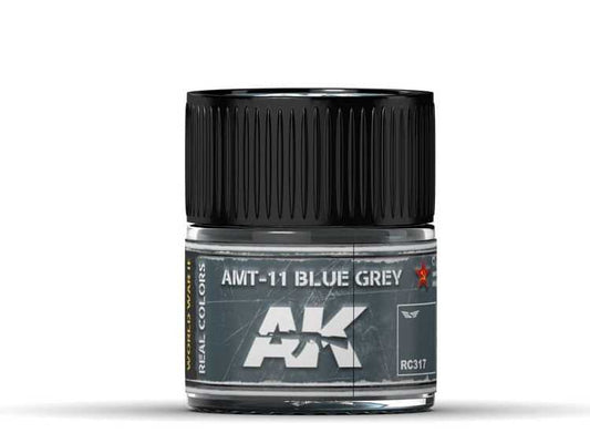 10ml Ak Interactive - Real Colors - AMT-11 Blue Grey
