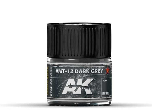 10ml Ak Interactive - Real Colors - AMT-12 Dark Grey