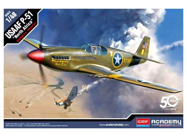 1/48 Academy - USAAF P-51 North Africa