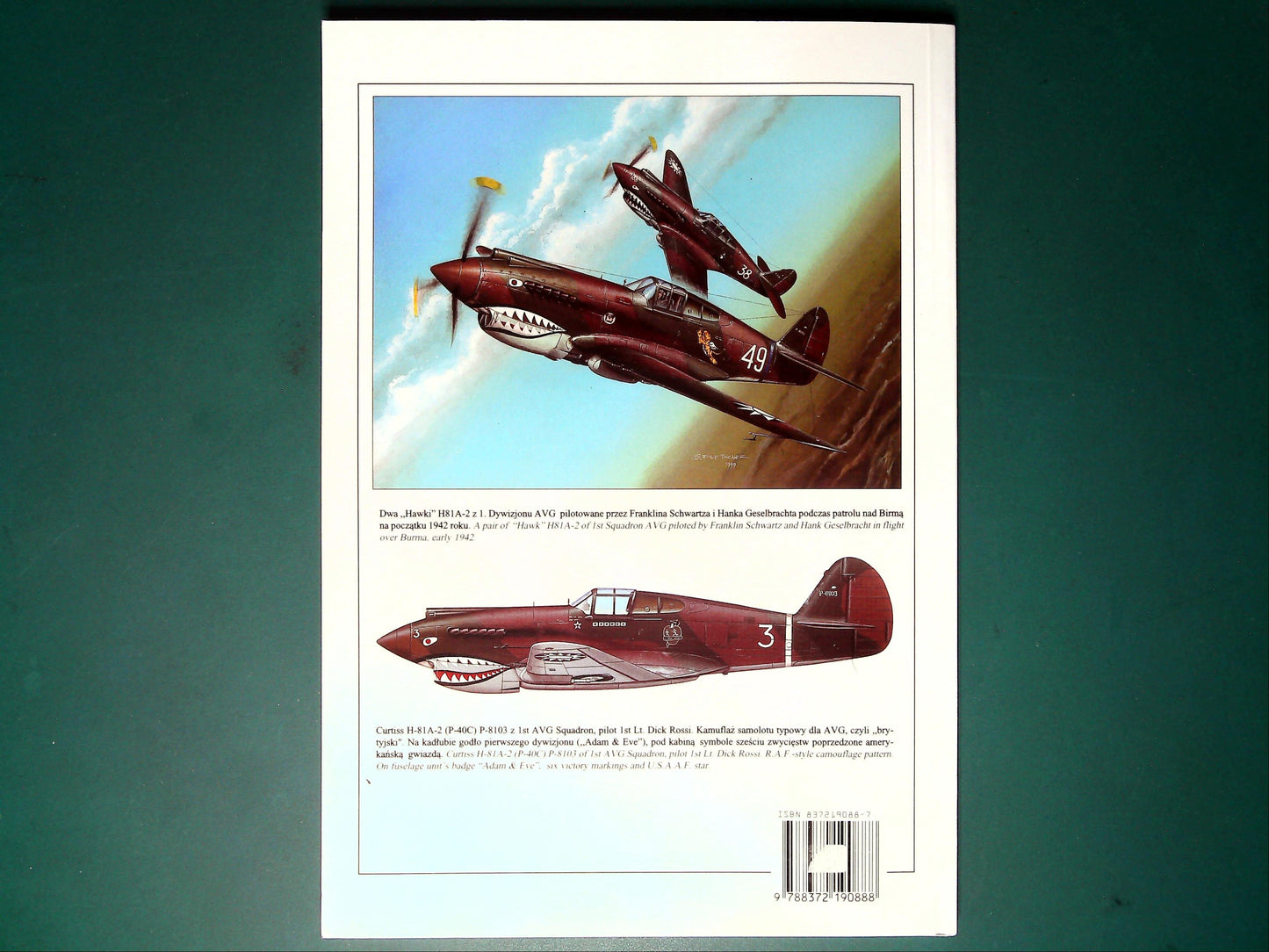 Wydawnictwo Militaria - 122: Curtiss P-40 Vol.II (Polish Text)