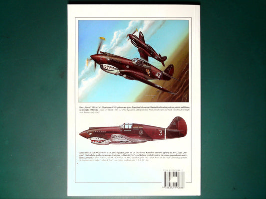  Wydawnictwo Militaria - 122: Curtiss P-40 Vol.II (Polish Text)